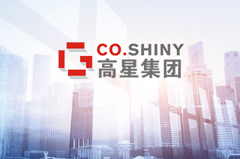 武漢高星集團